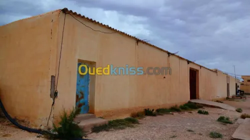 Vente Terrain Biskra Chetma