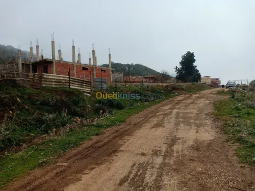 Vente Terrain Blida Meftah