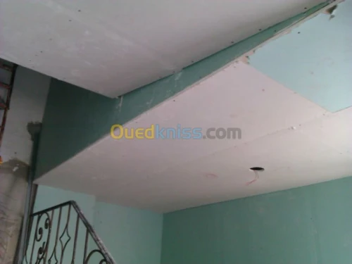 faux plafane - la rom descalies inox