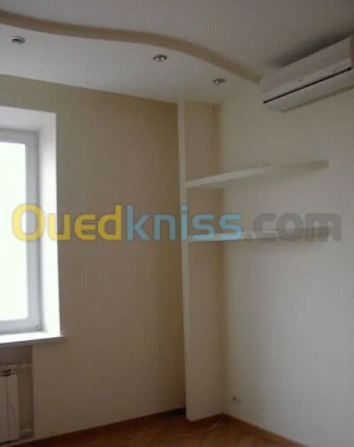 faux plafane - la rom descalies inox