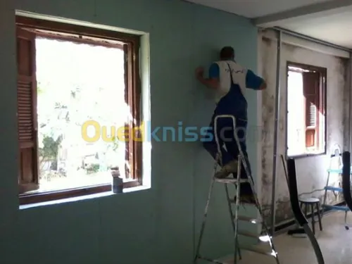 faux plafane - la rom descalies inox