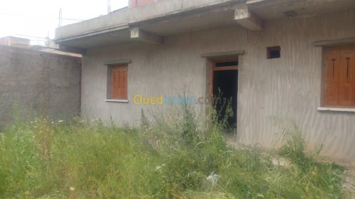 Vente Terrain Blida Ben khellil