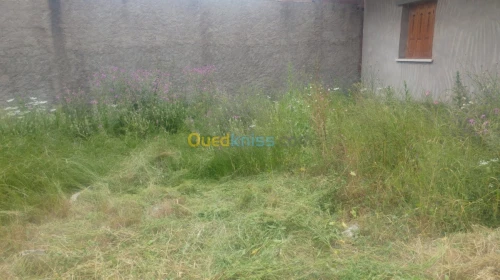 Vente Terrain Blida Ben khellil