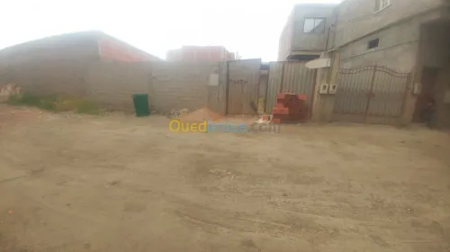 Vente Terrain Blida Ben khellil