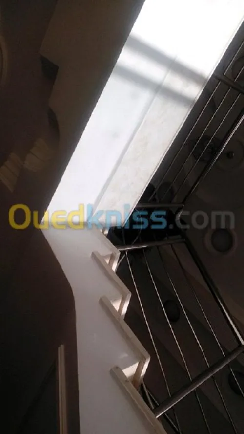 Rampe d'escalier en inox