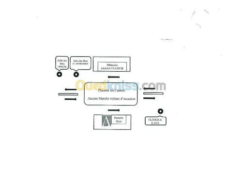 assurance toute branche 