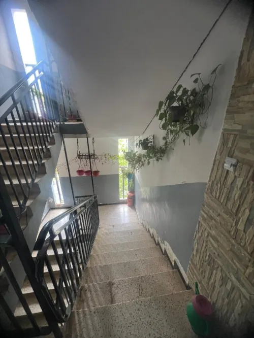 Location Appartement F2 Alger Birkhadem
