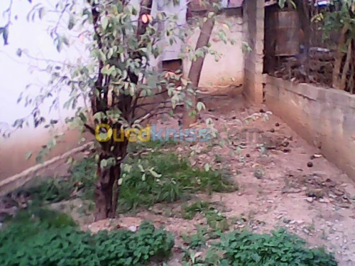 Vente Villa Bejaia Melbou