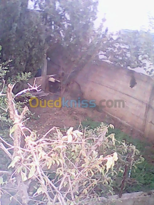 Vente Villa Bejaia Melbou