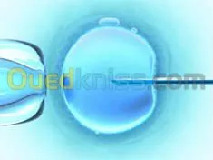 Services médicaux en Tunisie 