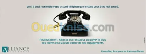 assurance toute branche