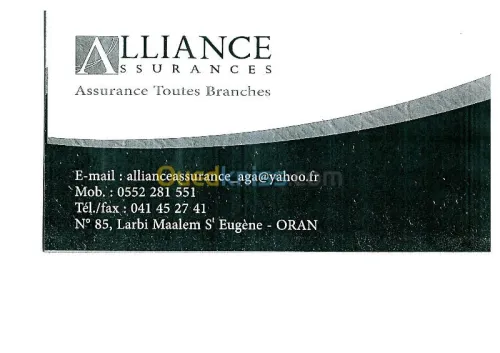 assurance toute branche