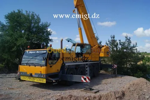 LEVAGE & MANUTENTION 