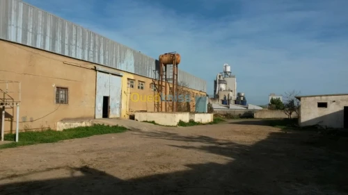 Vente Hangar Ain temouchent Ain temouchent