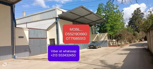 Location Hangar Blida Bougara