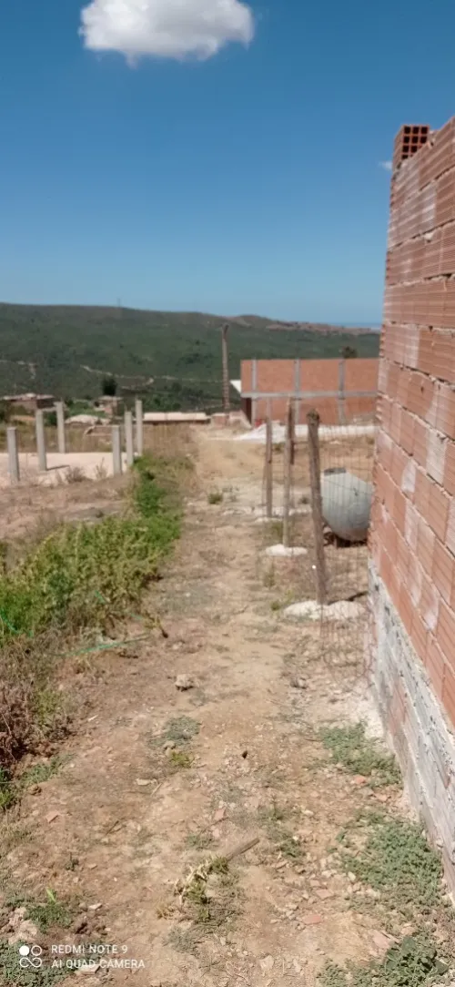 Vente Terrain Blida Meftah