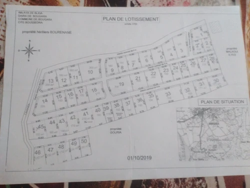 Vente Terrain Blida Bougara
