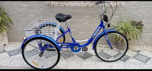 Tricycle classique adulte
