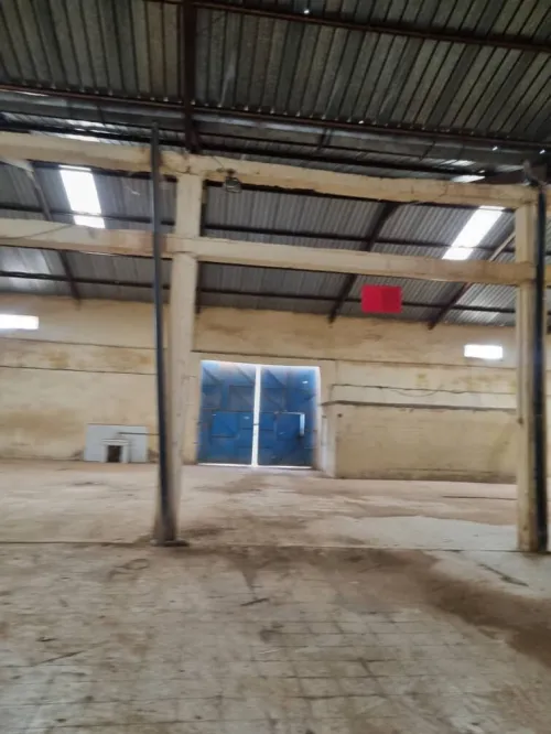 Vente Hangar Saïda Ain el hadjar