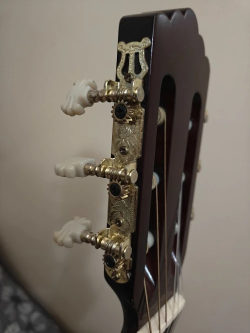 Italian classic Guitar eko avec un sac rockbag