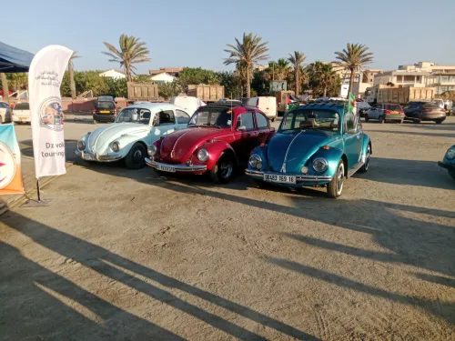 Volkswagen Coccinelle 1969 Coccinelle
