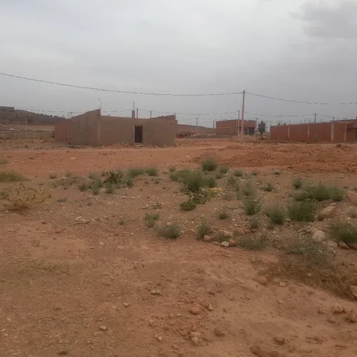 Vente Terrain Saïda Youb