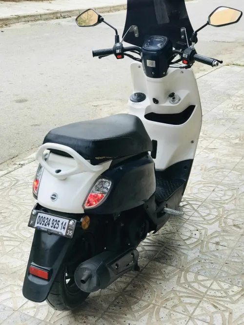 Cuxi Linhai 110 2025