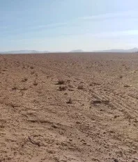 Vente Terrain Agricole Djelfa Ain oussara