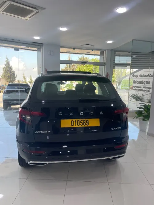 Skoda Karoq 2025 