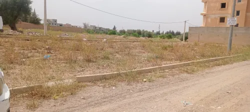 Vente Terrain Tlemcen Tlemcen
