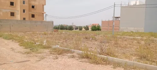 Vente Terrain Tlemcen Tlemcen
