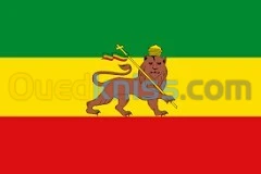 E VISA ETHIOPIE فيزا اتيوبيا