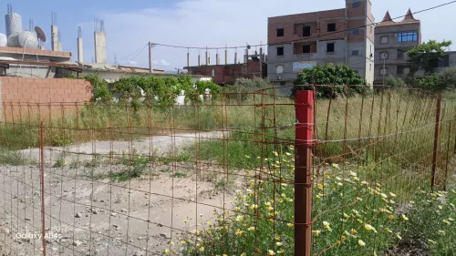 Vente Terrain Alger Sidi moussa