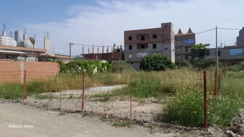 Vente Terrain Alger Sidi moussa