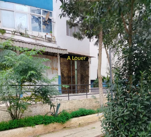 Location Local Alger Les eucalyptus