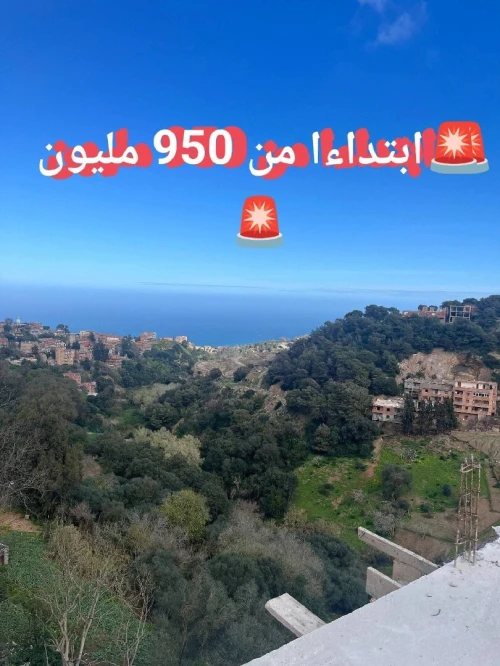 Vente Appartement F3 Alger Bouzareah