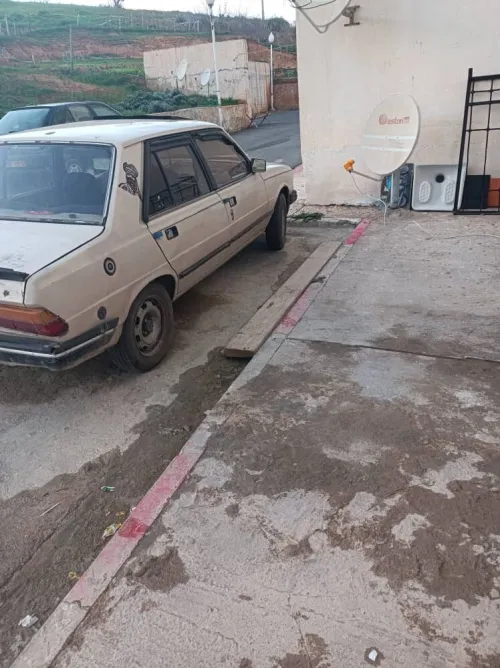 Peugeot 305 1984 305
