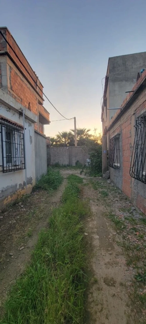 Vente Local Blida Bouinan