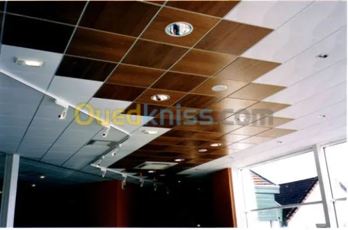 faux plafonds BA13 PVC Cloissan Parqut