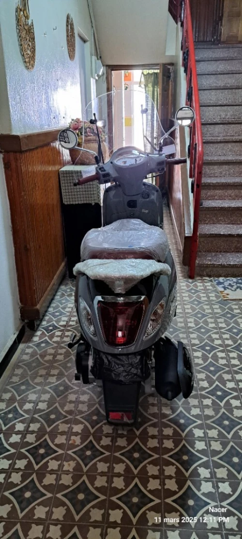 SYM Fiddle 3 2024