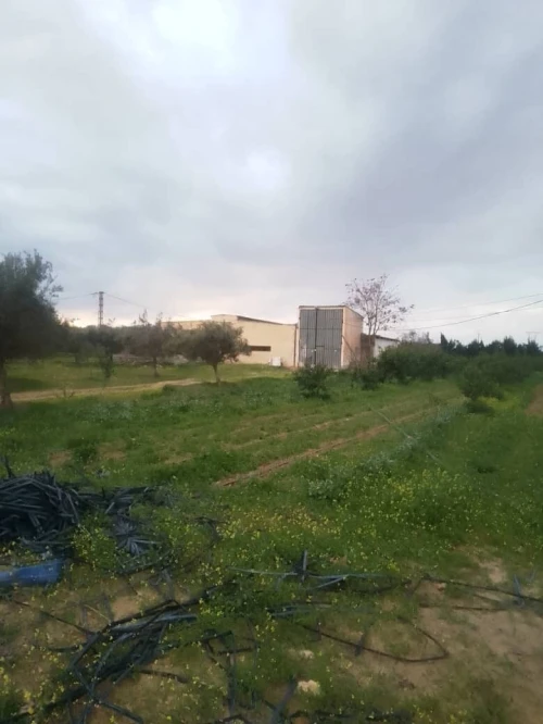 Vente Terrain Agricole Mostaganem Mostaganem