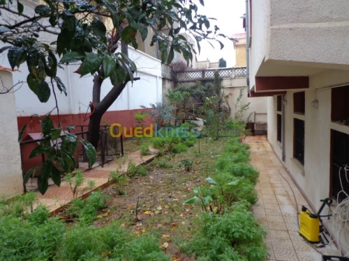Location Villa Alger Bordj el kiffan