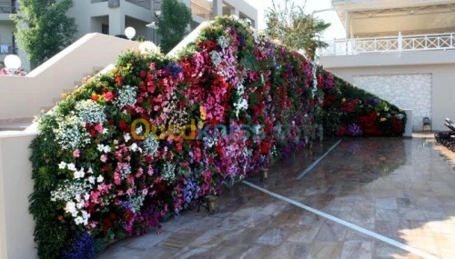 Mousse vegetale SPHAIGNE a vendre