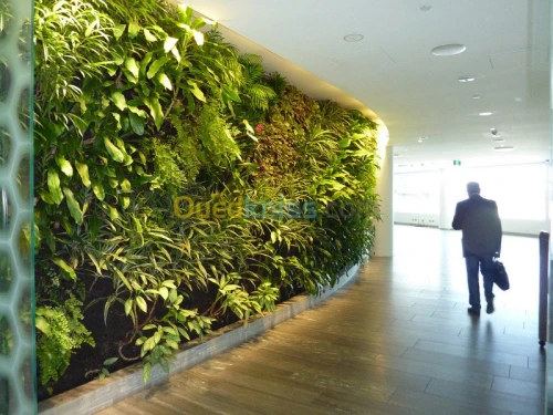 Mousse vegetale SPHAIGNE a vendre