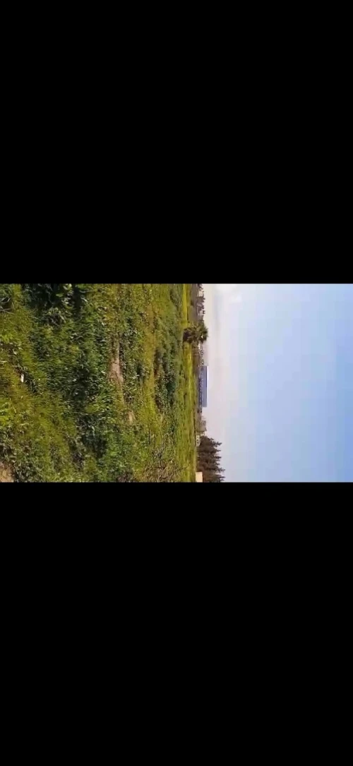 Vente Terrain Blida Boufarik