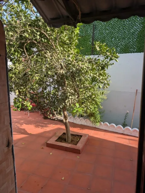 Vente Villa Alger El biar