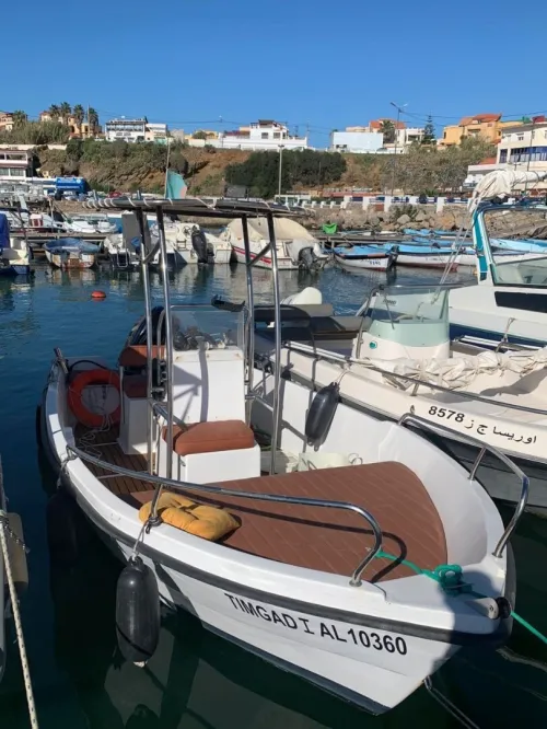 embarcation (bateau) 2025 5,20 m 50 cv mercury