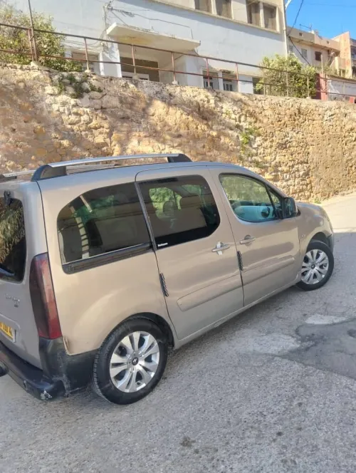 Citroen Berlingo 2010 Berlingo