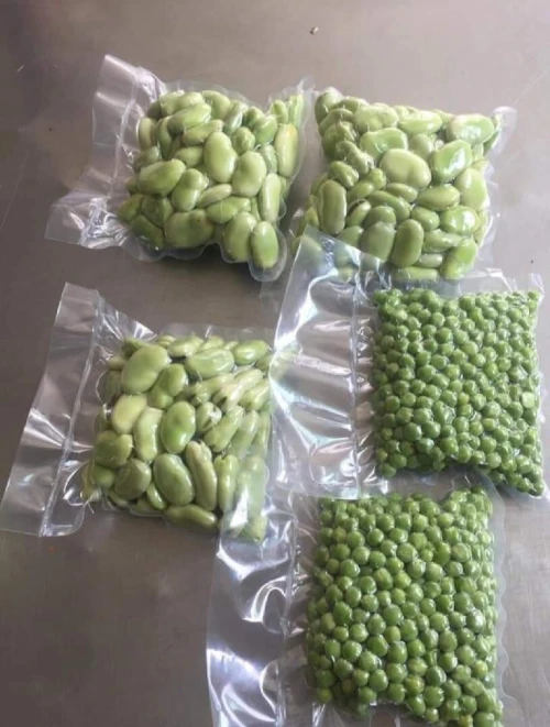 تحويل و تصبير خضر و فواكه 