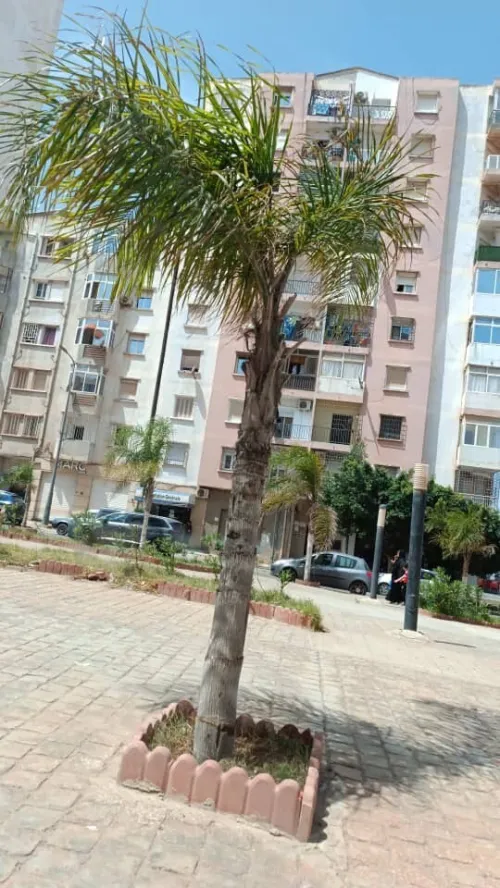 Location vacances Appartement F5 Oran Bir el djir